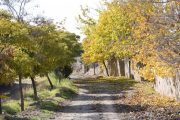 معرفی روستای همه سین